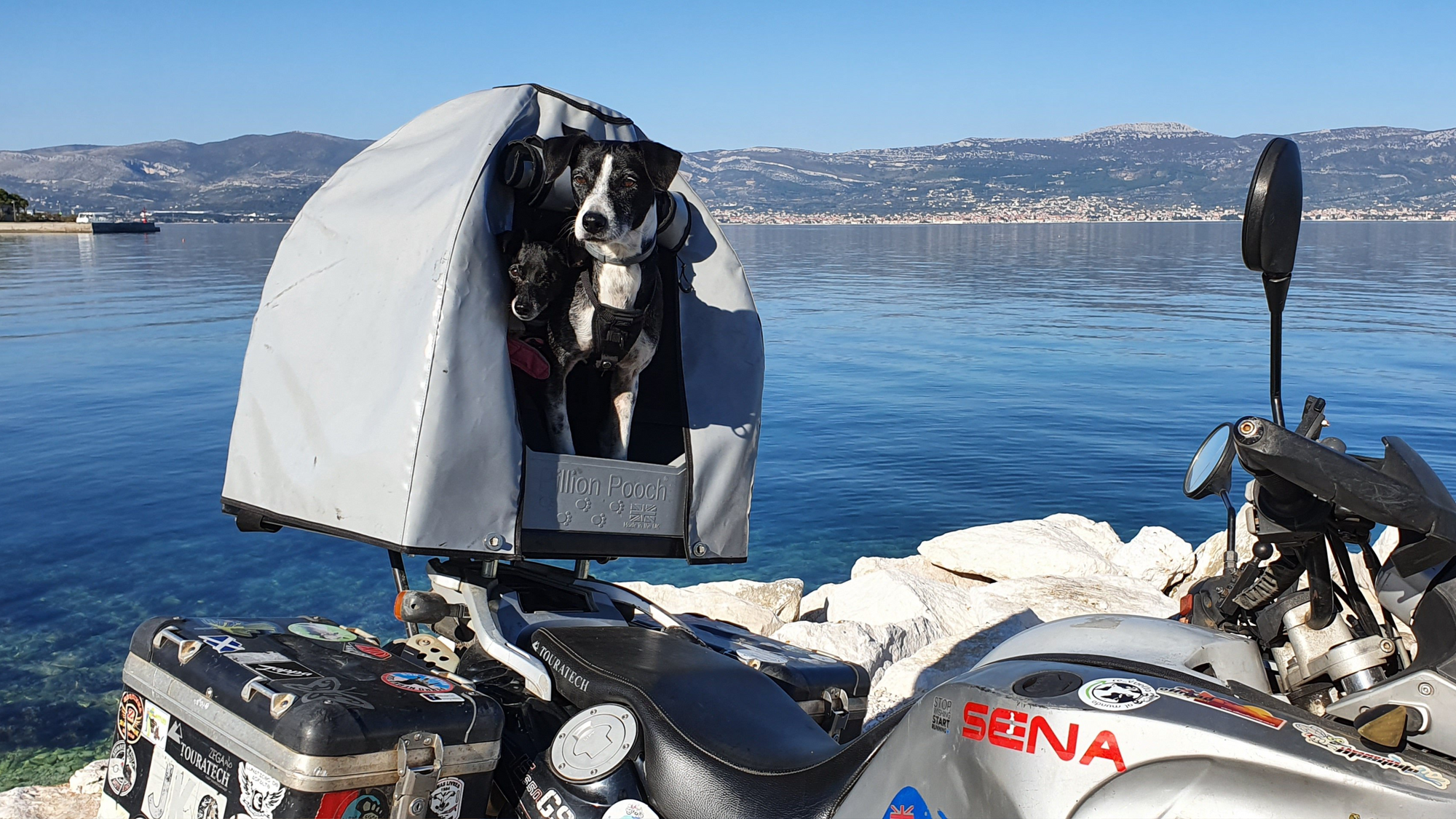 Pillion Pooch Motorcycle Dog Carrier on a BMW 650GS mounted with U-bolts with Touratech 45L panniers. Photo by The Pack Track of their dogs Weeti and Shadow in Croatia.