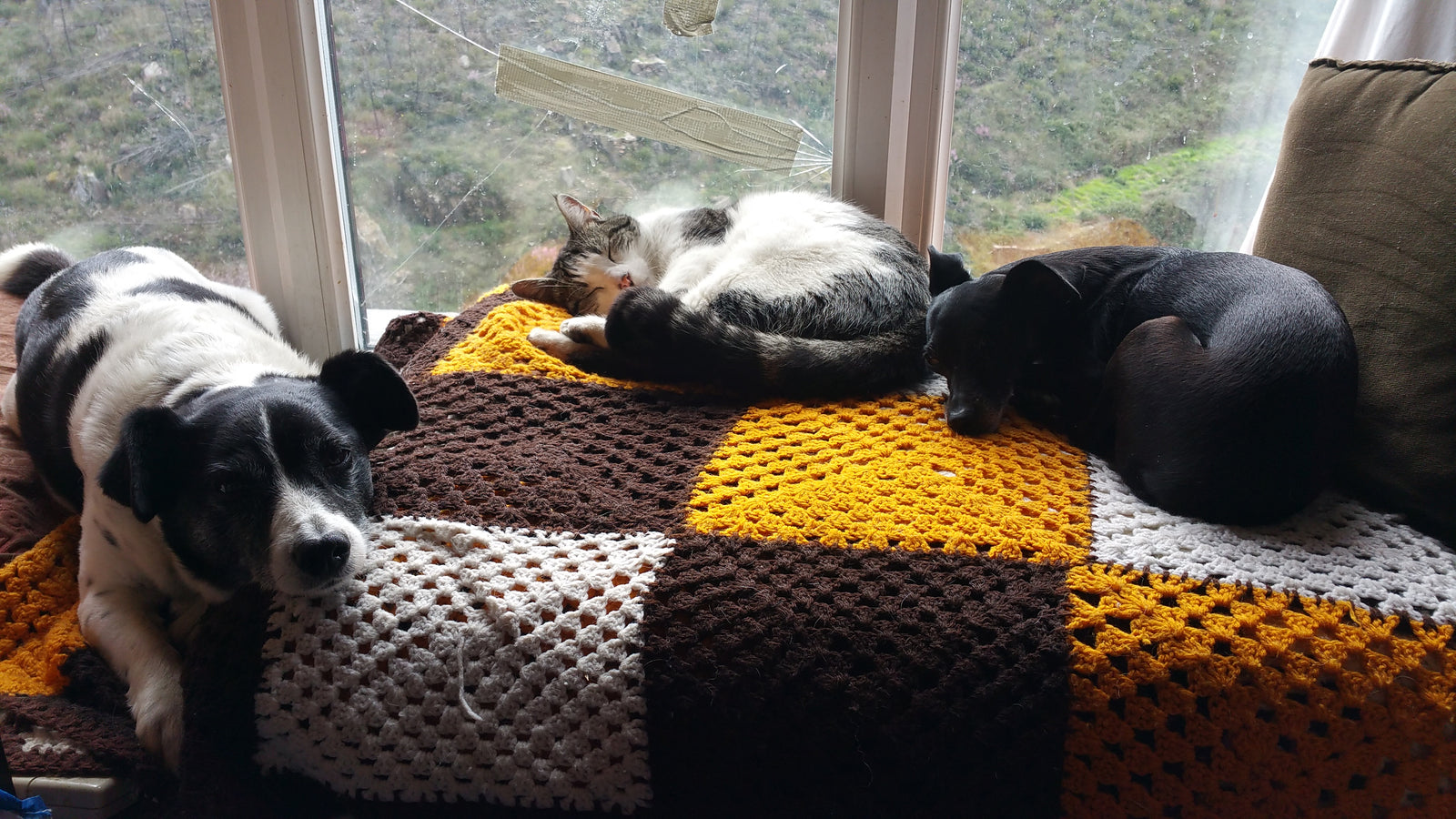 Trusted House Sitters - Phone App