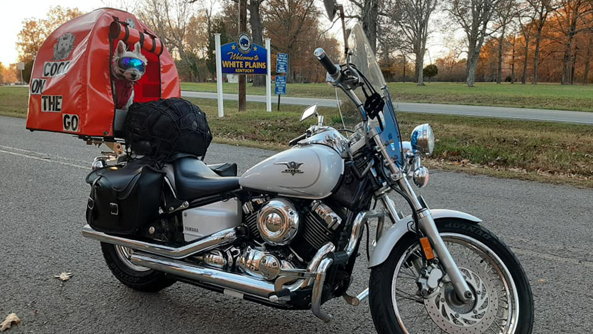 Pillion Pooch Motorcycle Dog Carrier mounted on a 2004 Yamaha V-Star 650 with a Back Road Equipment BRE Slider Rack quick release. Photo by Cindy of her dog Coco wearing Rex Specs in Tennessee @Cocoonthego