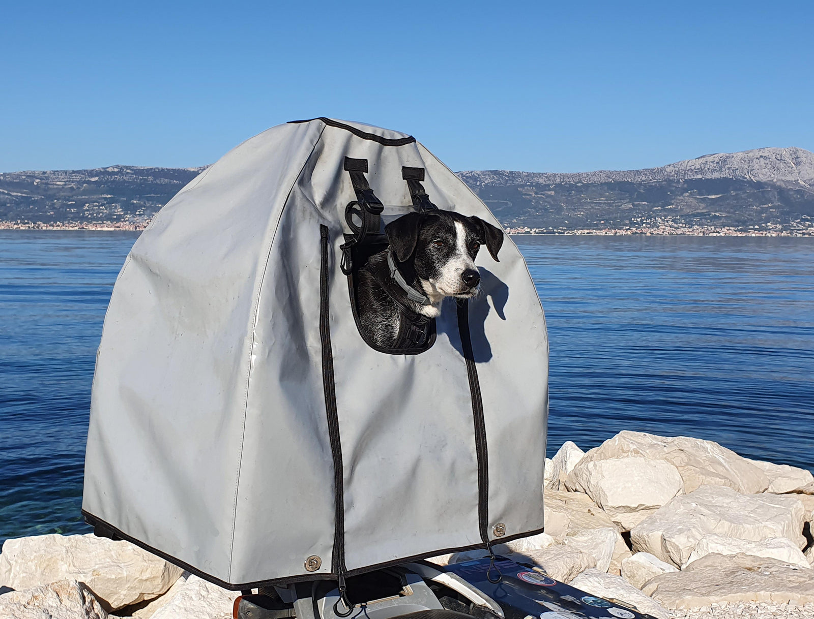 Motorcycle Dog Carrier for Sharing the Ride with Your Big Dog