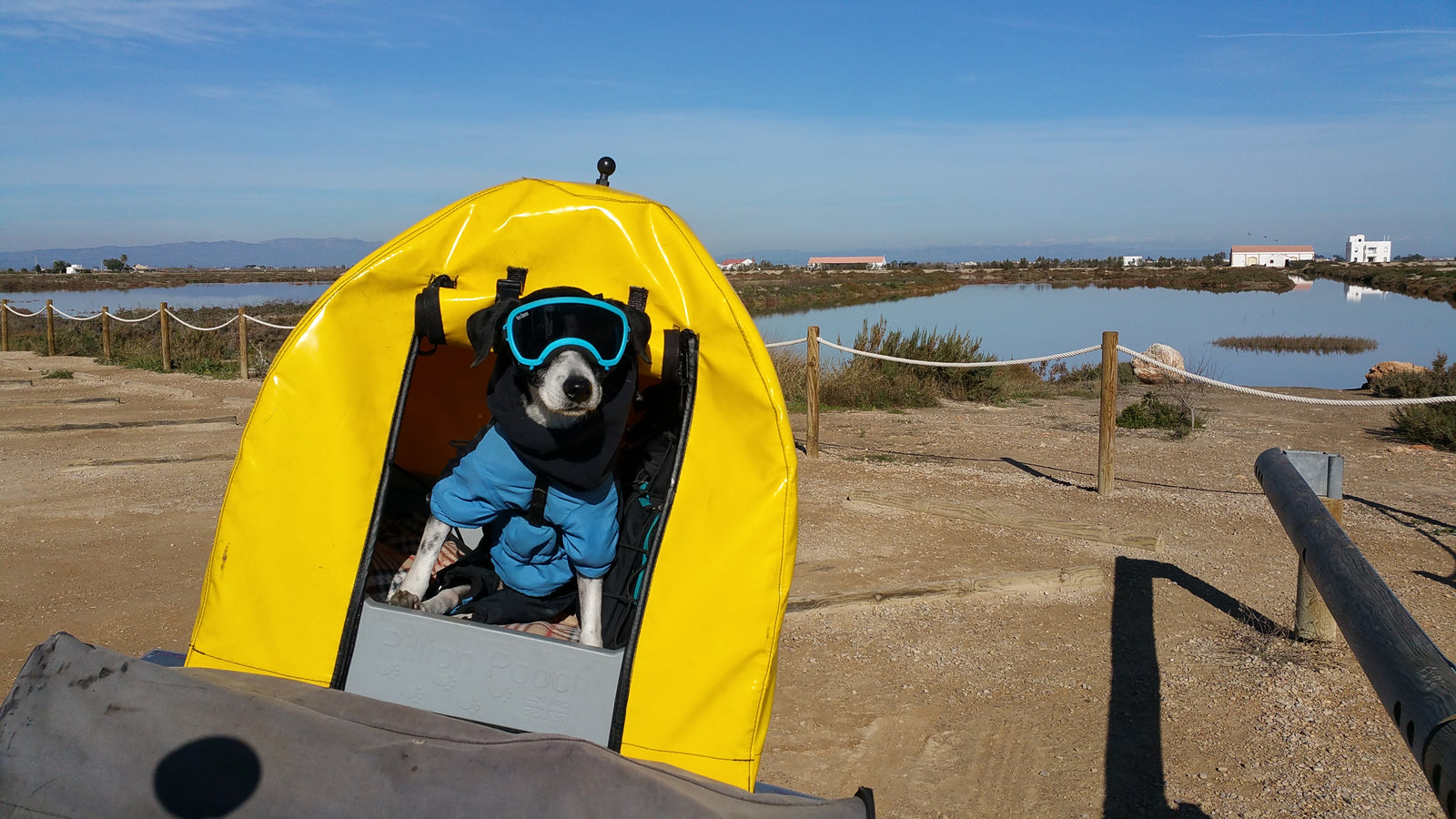 Pillion Pooch Motorcycle Dog Carrier mounted on a BMW G650GS with a Back Road Equipment BRE Slider Rack quick release. Photo by The Pack Track of their dog Weeti wearing Rex Specs in Spain.