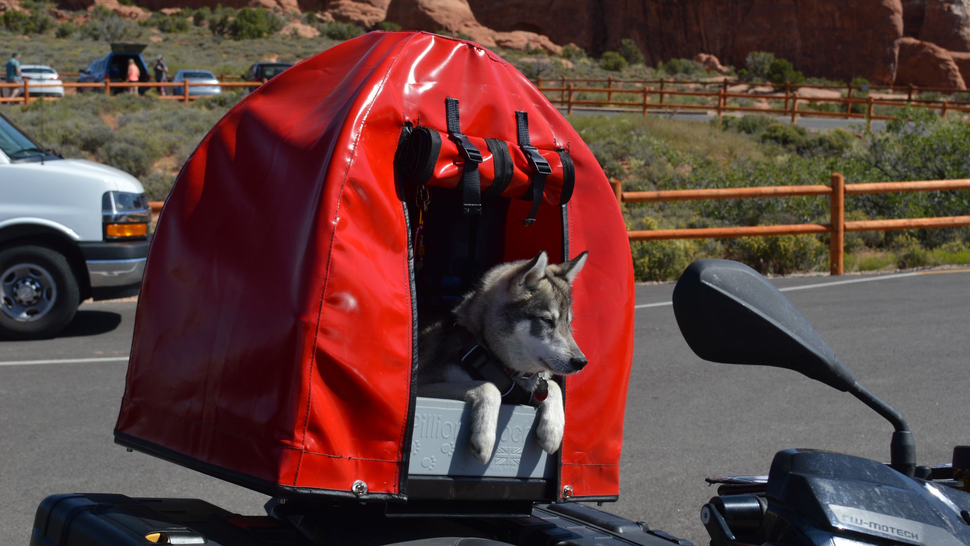 Pillion Pooch
