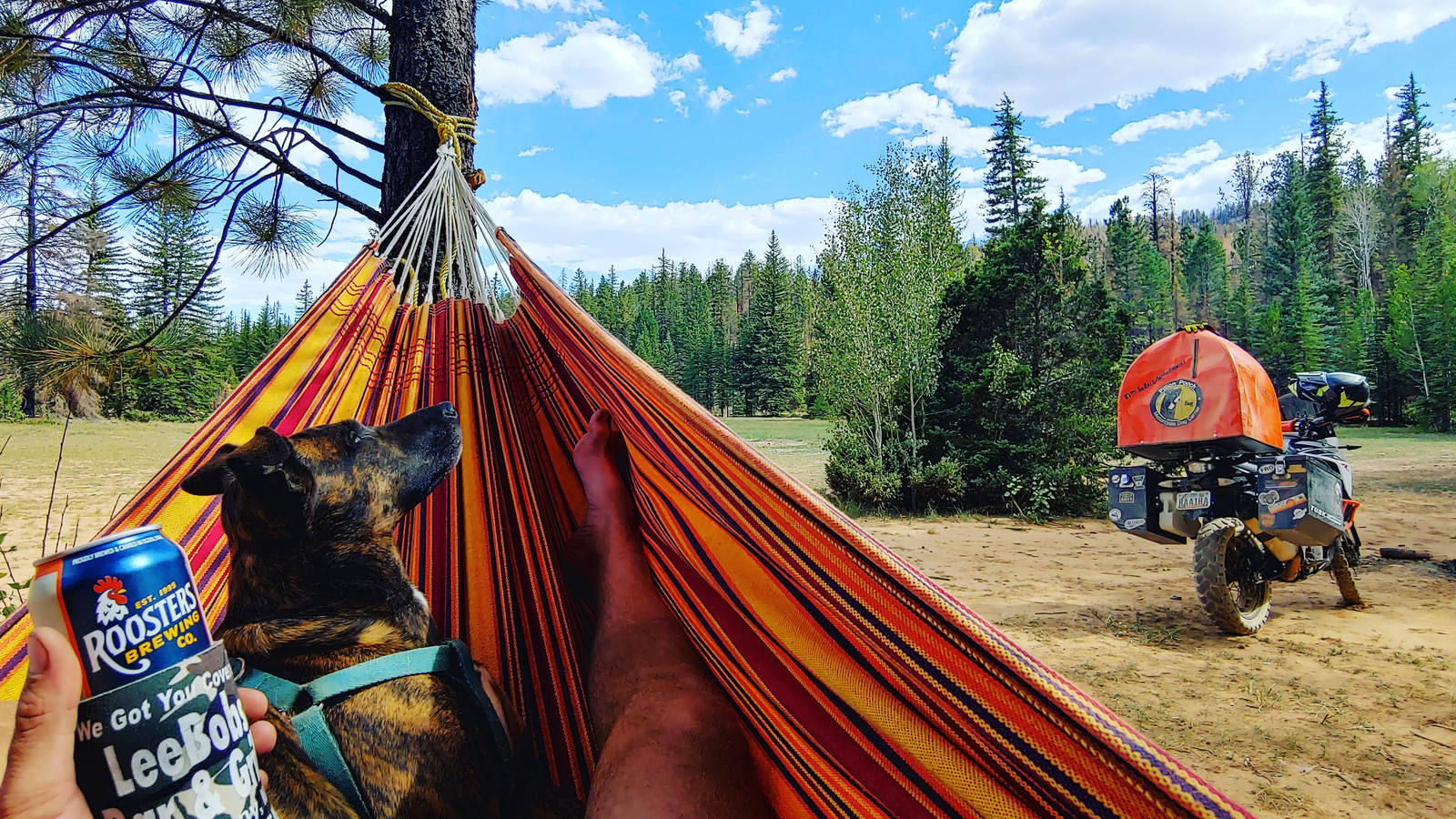 Camping in the USA with a Pillion Pooch Motorcycle Dog Carrier mounted on a KTM 1090R Adventure with a Back Road Equipment BRE Slider Rack quick release. Photo by Justin Rath and his dog Piper @thebaldandthebrindle