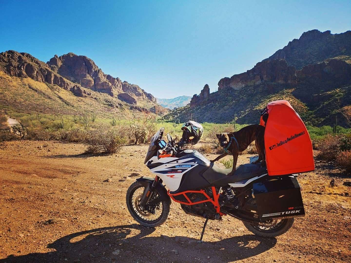 Offroad riding in the USA with a Pillion Pooch Motorcycle Dog Carrier mounted on a KTM 1090R Adventure with a Back Road Equipment BRE Slider Rack quick release. Photo by Justin Rath of his dog Piper @thebaldandthebrindle