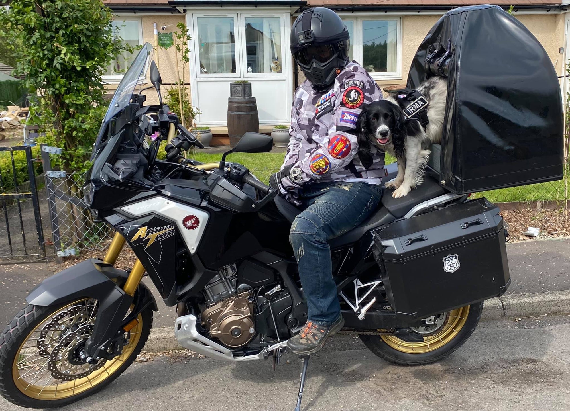 Pillion Pooch Motorcycle Dog Carrier on a Honda Africa Twin. Photo from Paul Wilkie and his PTSD service dog Irma from Scotland.