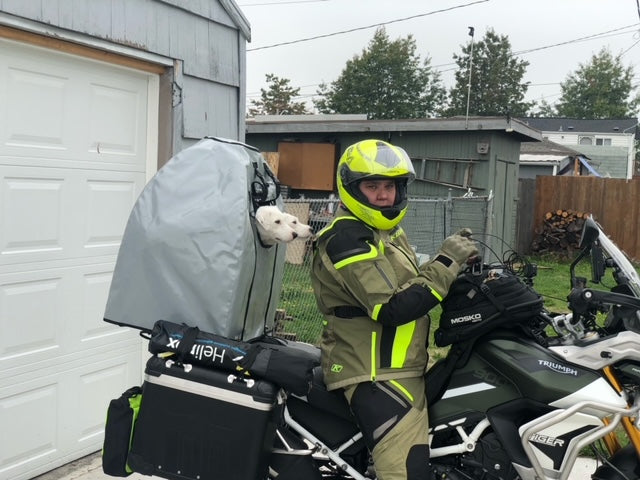 Pillion Pooch Motorcycle Dog Carrier mounted on a Triumph Tiger Rally Pro with a Back Road Equipment BRE Slider Rack. Photo from Kerry and her two Jack Russell's Hamish and Tilly in Washington, USA.